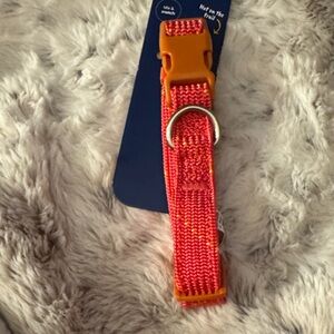 Adjustable Orange Dog Collar